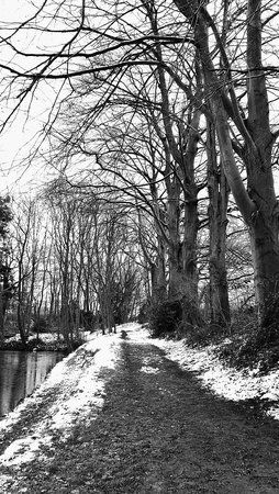 20160217_153028-01.jpeg