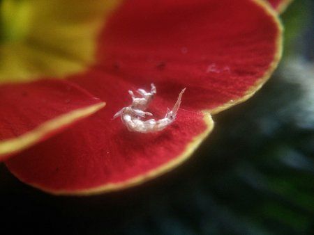 DSC_0006-01.jpeg