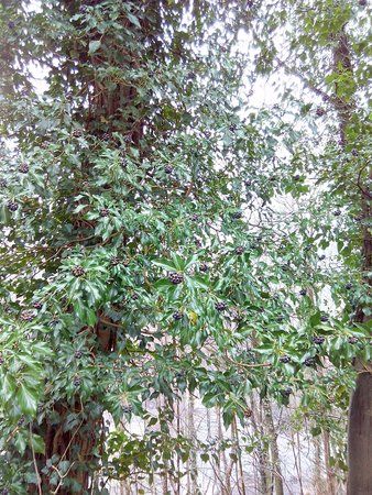 IMG_20160220_112153_1.jpg