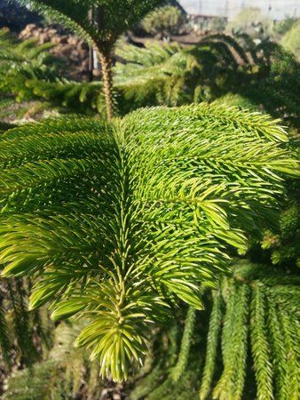 IMG_20160222_093136.jpg