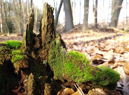 2016-02-27 13.42.47.jpg