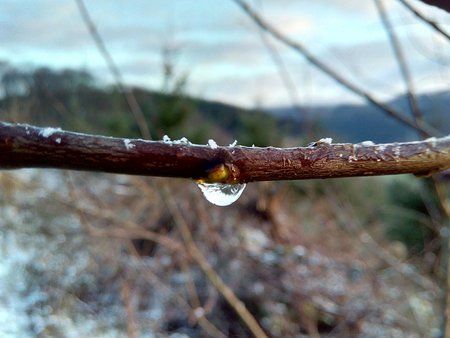 IMG_20160303_073215_1.jpg
