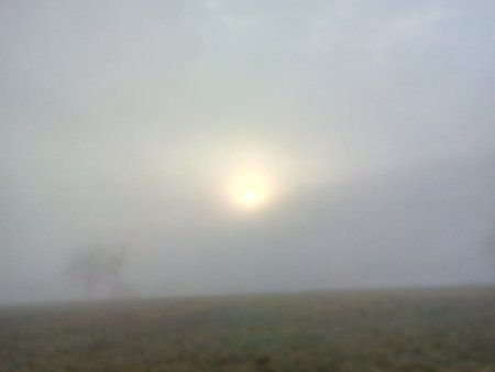 IMG_20160306_074748_1.jpg