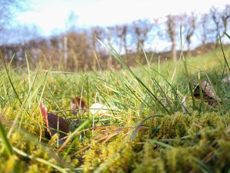 20160307_160141.jpg