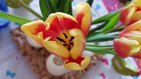 20160308_155347.jpg