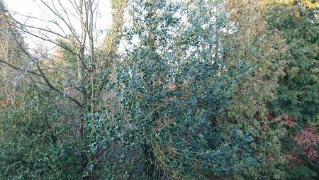 DSC_0054.JPG