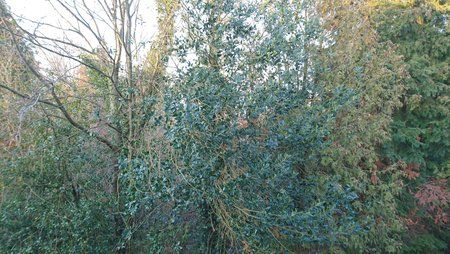 DSC_0056.JPG
