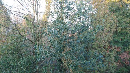 DSC_0057.JPG