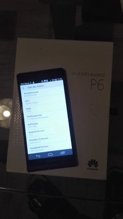 P6.jpg