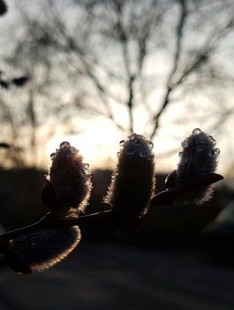 20160308_074659-01.jpeg 20160308_074659-01.jpeg
