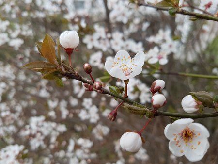 20160309_164336.jpg 20160309_164336.jpg