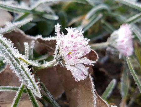 20160310_073128-01 1.jpeg 20160310_073128-01 1.jpeg