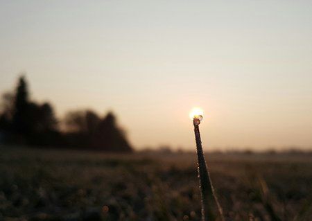 20160310_073443-01 1.jpeg 20160310_073443-01 1.jpeg