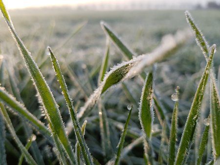 20160310_074041.jpg 20160310_074041.jpg