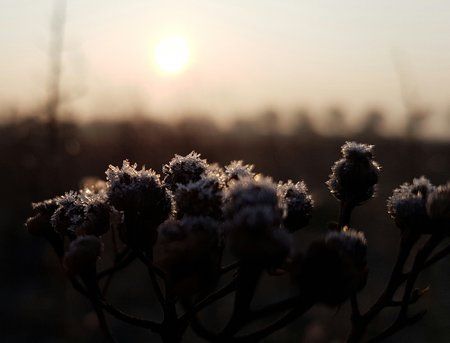 20160310_074427-01 1.jpeg 20160310_074427-01 1.jpeg