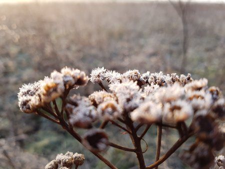 20160310_074538.jpg 20160310_074538.jpg