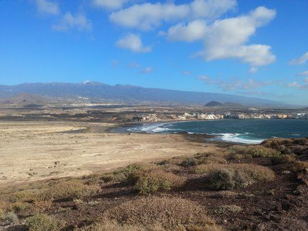 IMG_20160311_091950.jpg