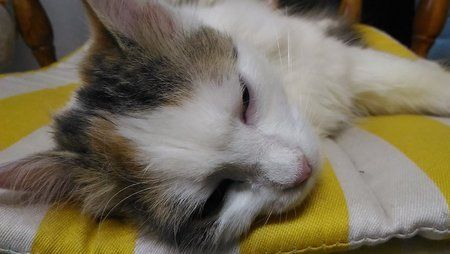 P_20160310_215054_LL.jpg