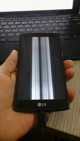 1457769256009.jpg