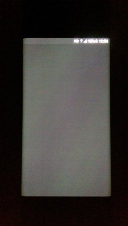 IMAG1281.jpg