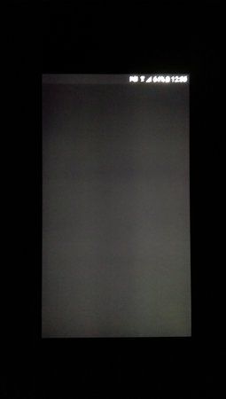 IMAG1283.jpg