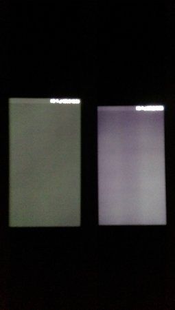 IMAG1284.jpg
