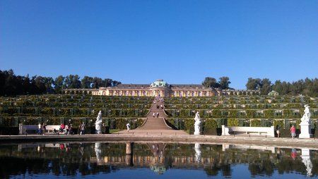 IMAG0041.jpg