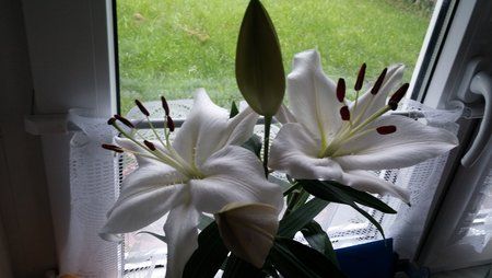 20151007_103620.jpg