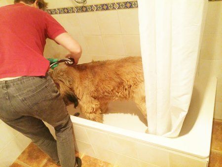 IMG_20160313_151001-01.jpeg