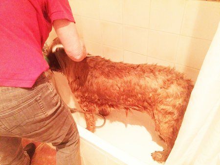 IMG_20160313_151637-01.jpeg
