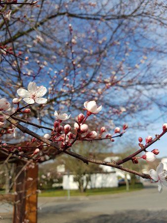 20160314_135423.jpg