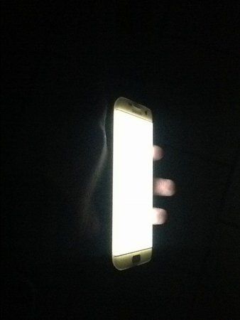 image.jpeg