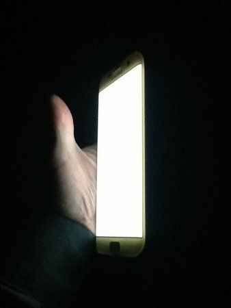image.jpeg