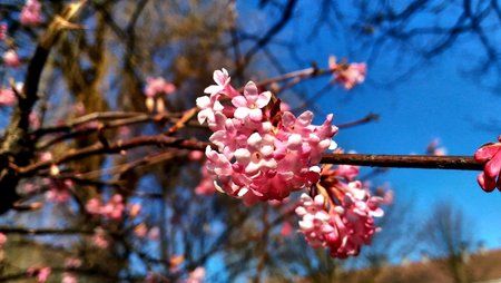 P_20160316_140317.jpg