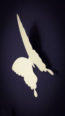 PSX_20160317_134445.jpg