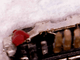 vlcsnap-2016-03-17-15h11m43s479.png