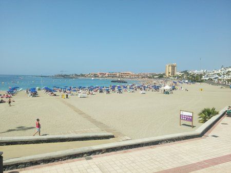 IMG_20160317_123729.jpg