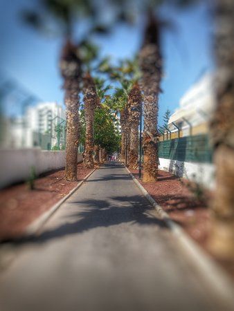 IMG_20160317_130702-01.jpeg