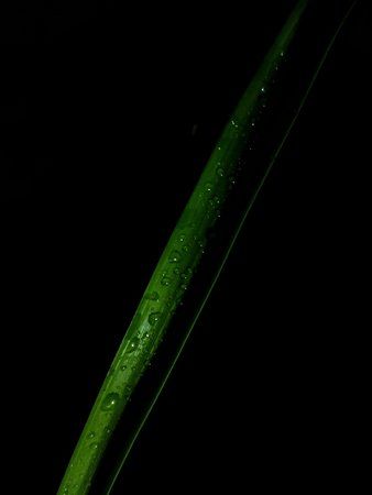 PIC_20160319_160708.jpeg