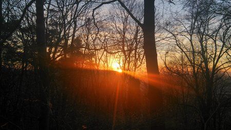 IMG_20151116_164435_HDR.jpg