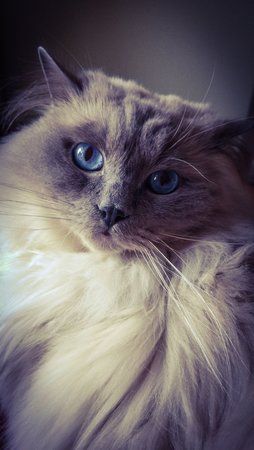 PSX_20160325_144820.jpg