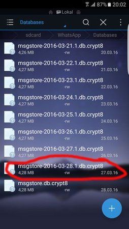 Backup_whatsapp.jpg