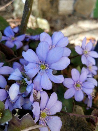 IMG_20160327_115727-01.jpeg