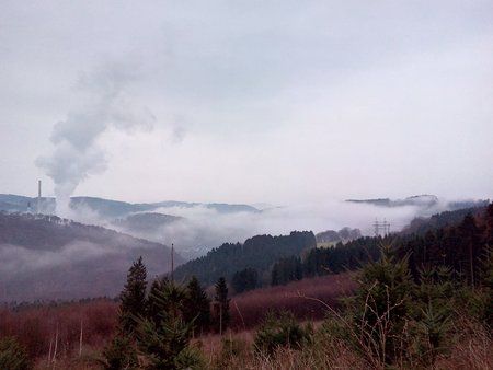 IMG_20160331_072154_1.jpg