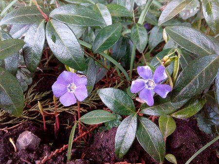 IMG_20160331_073339_1.jpg