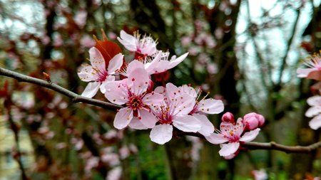 IMG_20160402_143305558_HDR.jpg