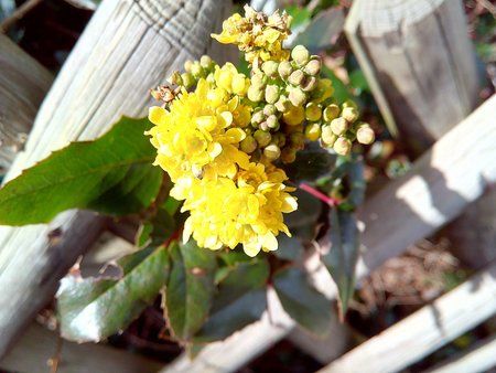 IMG_20160403_152022_1.jpg