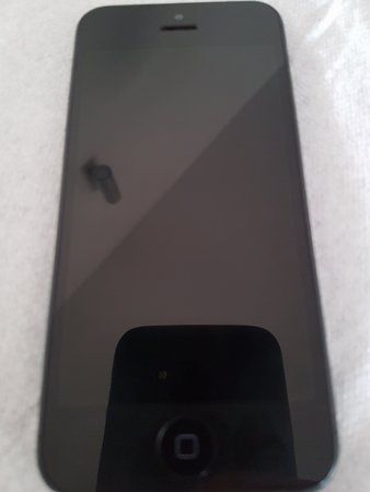 1459786337556-550924018.jpg