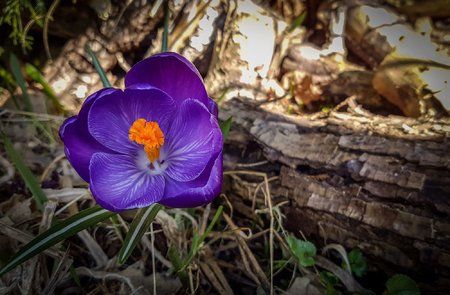 20160316_121641.jpg