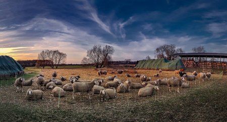 20160326_180749-Pano.jpg